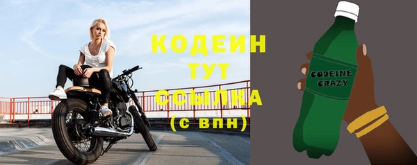 сатива Беломорск