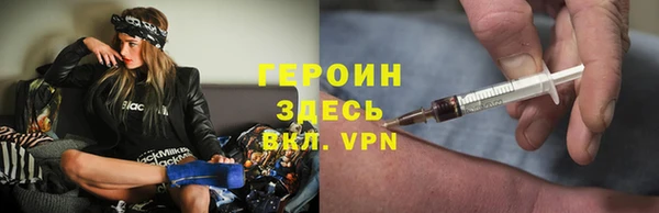 сатива Беломорск