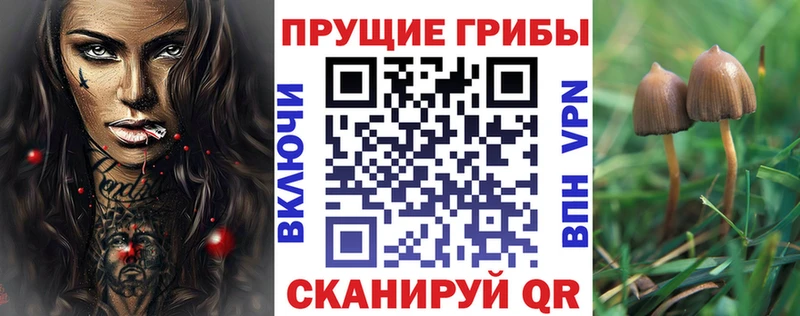Галлюциногенные грибы MAGIC MUSHROOMS  Красноперекопск 